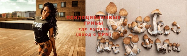 mix Зерноград