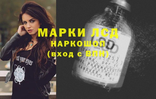 гидра Зеленокумск