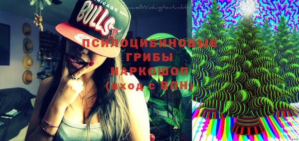 гидра Зеленокумск