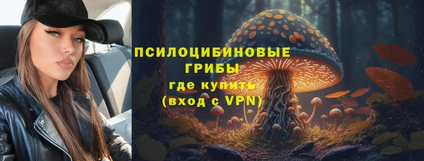 гидра Зеленокумск